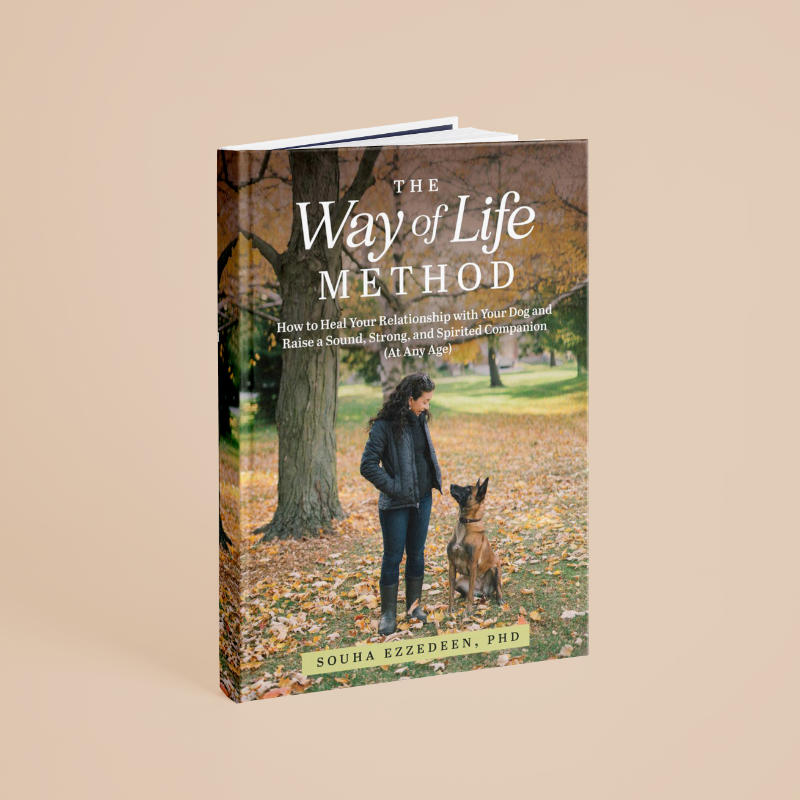 The Way of Life Method Book